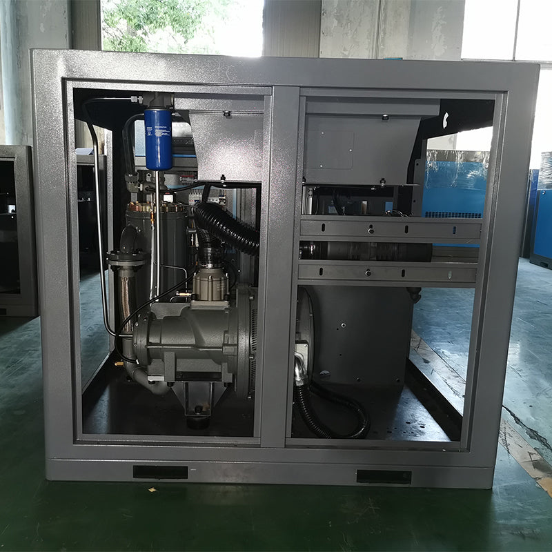 Permanent magnetic variable frequency screw compressor